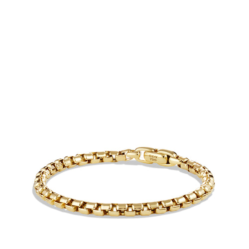 Box Chain Bracelet in Gold