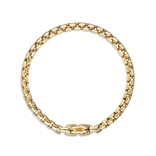 Box Chain Bracelet in Gold