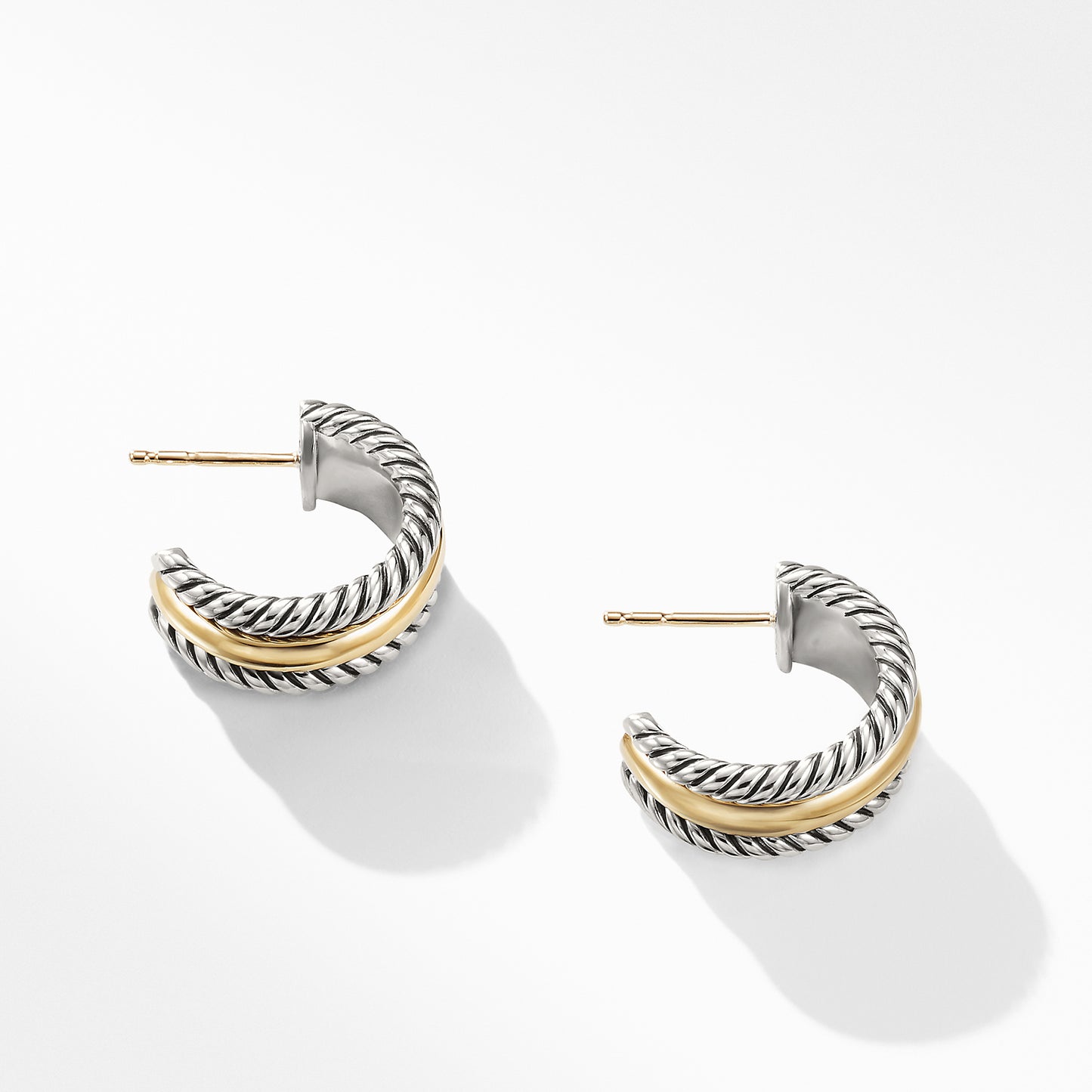 Hoop Earrings with Gold