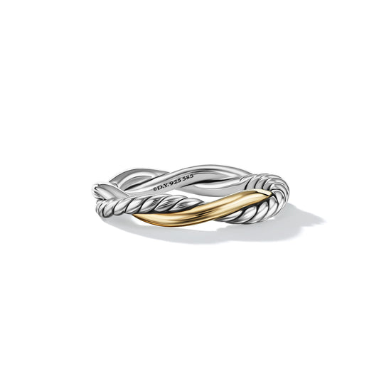 Petite Infinity Band Ring in Sterling Silver with 14K Yellow Gold